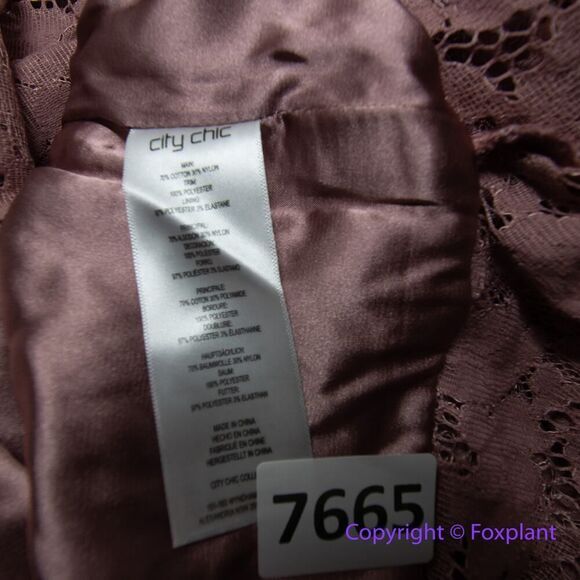 New! City Chic Women's Plus Size Angel Lace‎ Dress Rose, size 20 - Picture 15 of 16